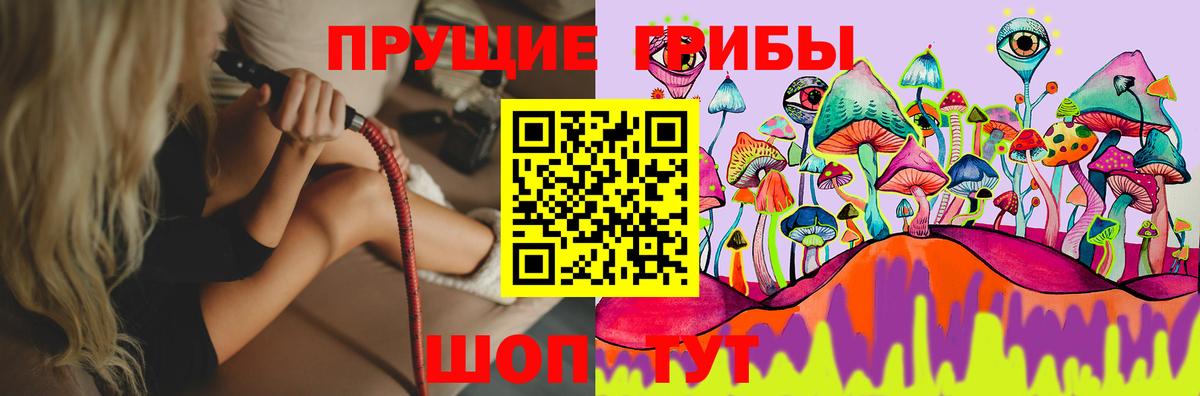 Псилоцибиновые грибы Magic Shrooms  Вход с VPN  Владикавказ  Псилоцибиновые грибы Cubensis 